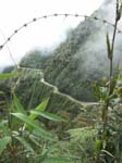 PICT0091